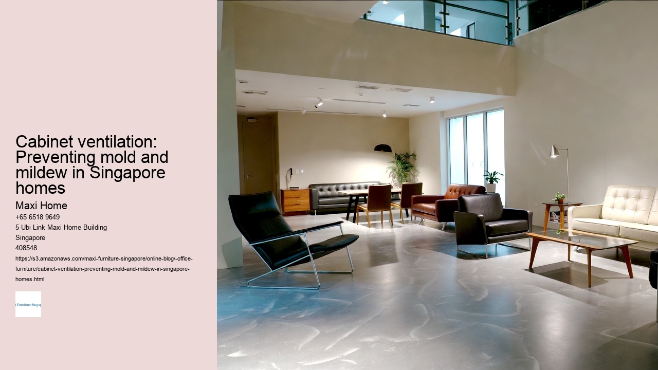 Cabinet ventilation: Preventing mold and mildew in Singapore homes