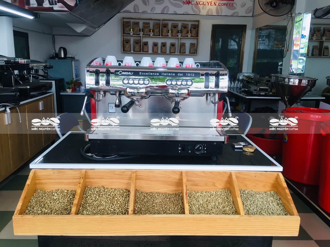 MÁY PHA CÀ PHÊ FEAMA ENOVA 2G