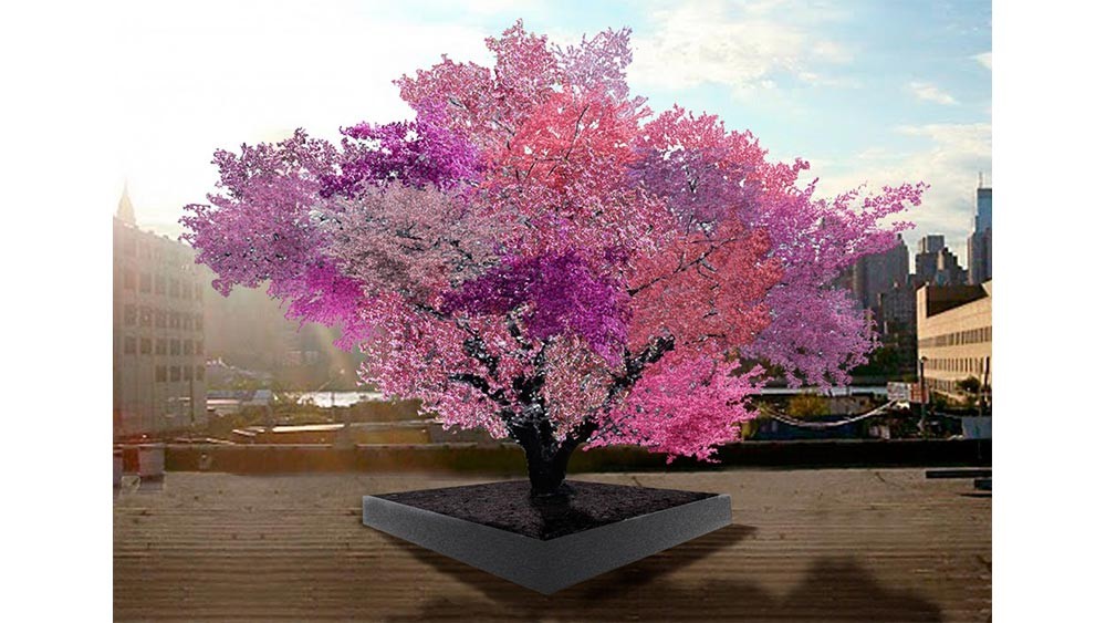 Sam Van Aken Artists In Residence McColl Center for Art + Innovation