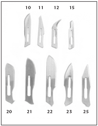 McCoy Medical: Stainless Steel Surgeon Blades : 681139001603