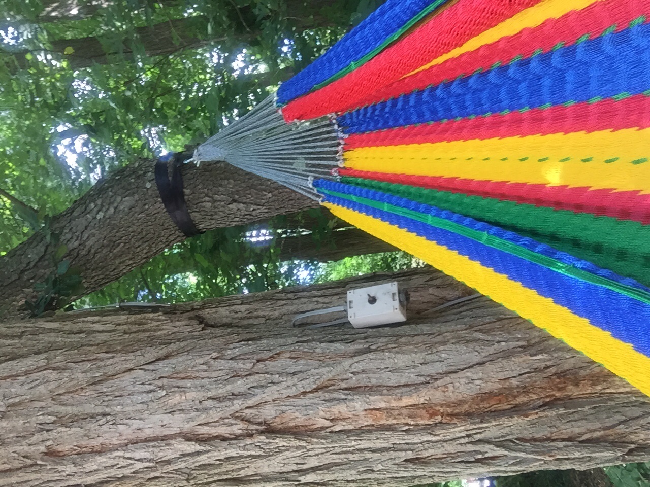 EcoFriendly Hammock Tree Straps Buy Online Hammock Universe USA