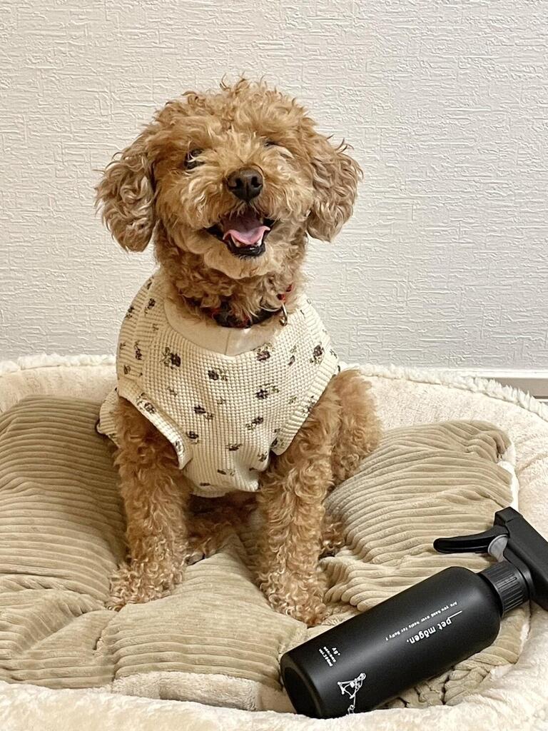 レビュー写真
