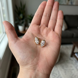 Laci T. review photo