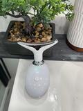 Bula J. review photo