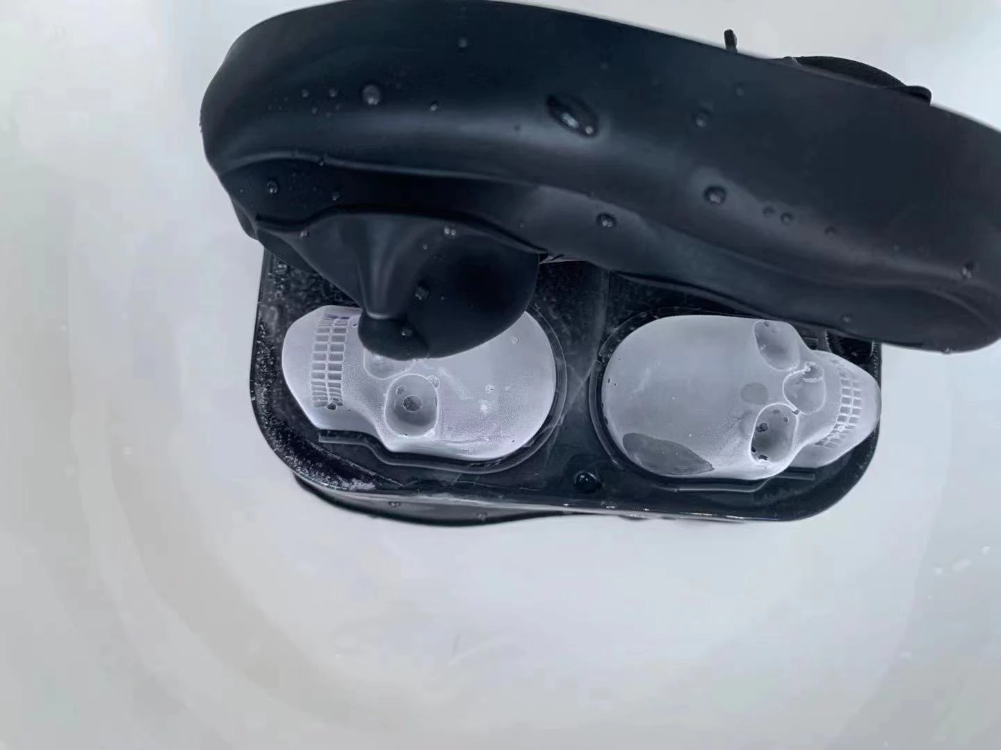 Ils ressemblent à de vrai tête de mort