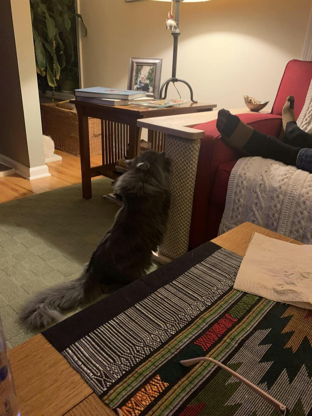 Customer review photo