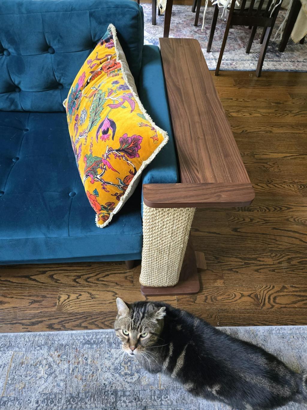 Customer review photo