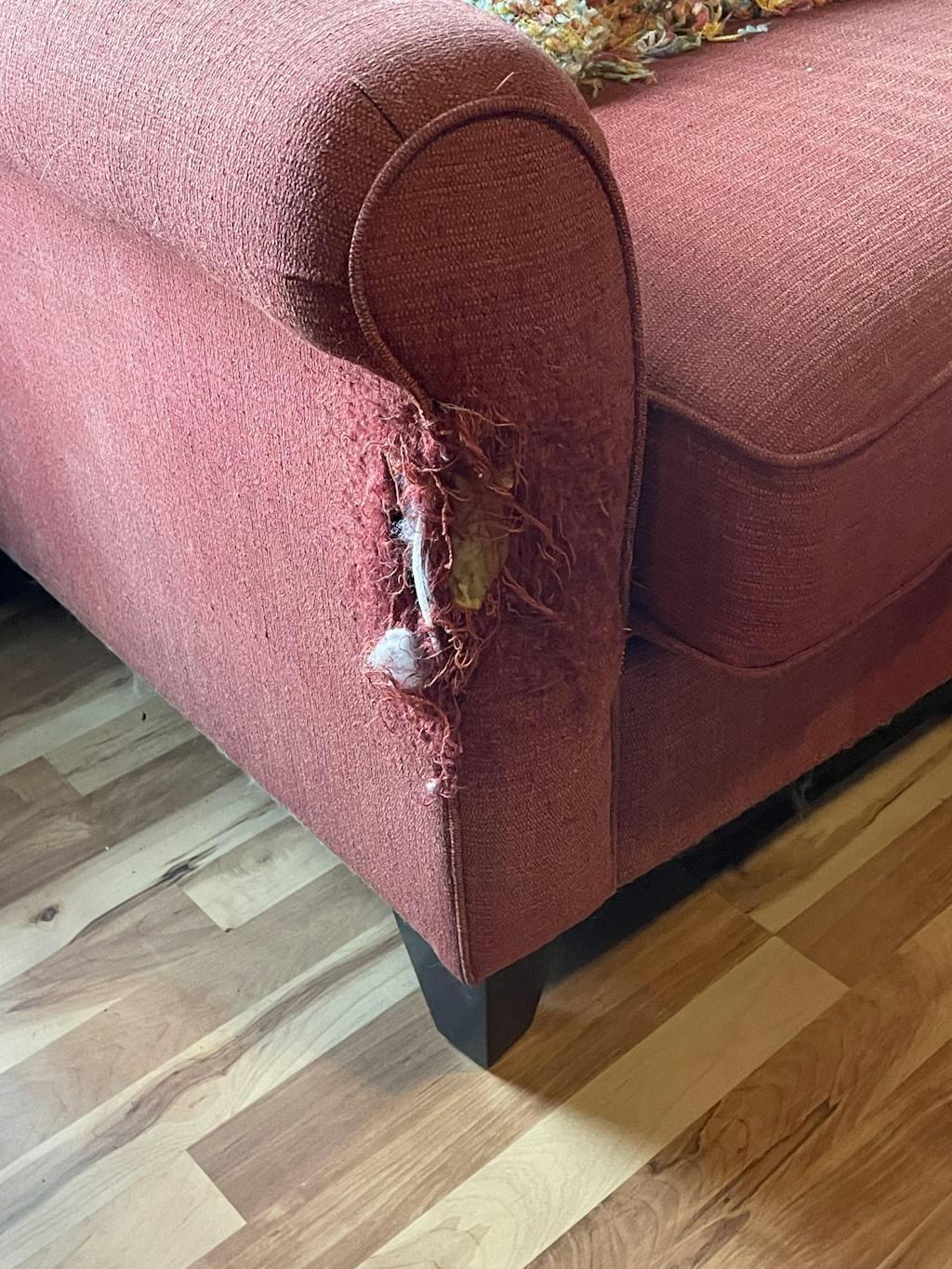 Customer review photo