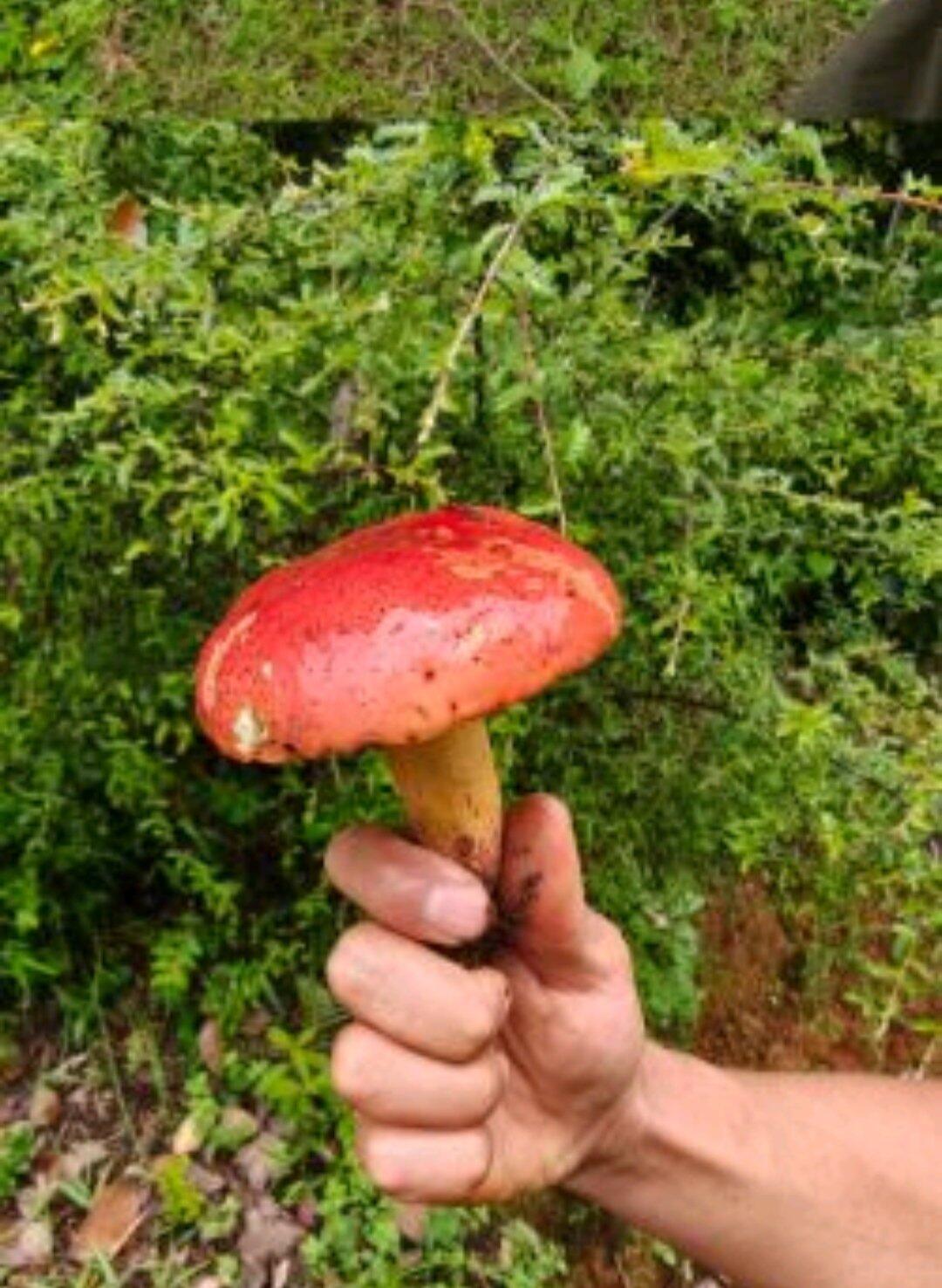 旅行者上传的活动照片