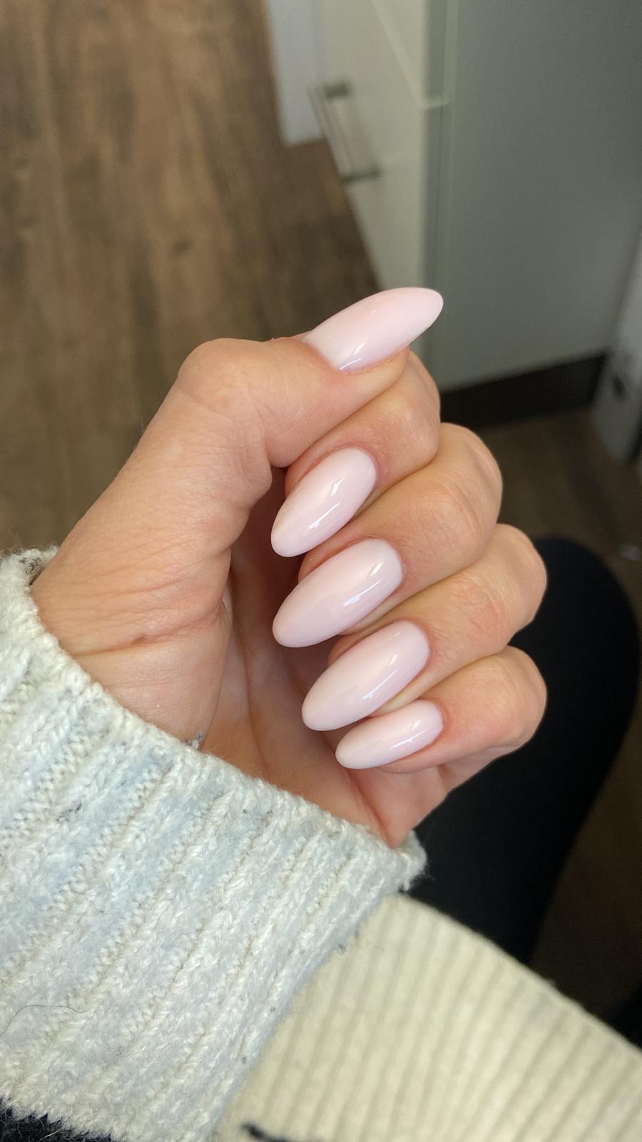 Shellac Natural White