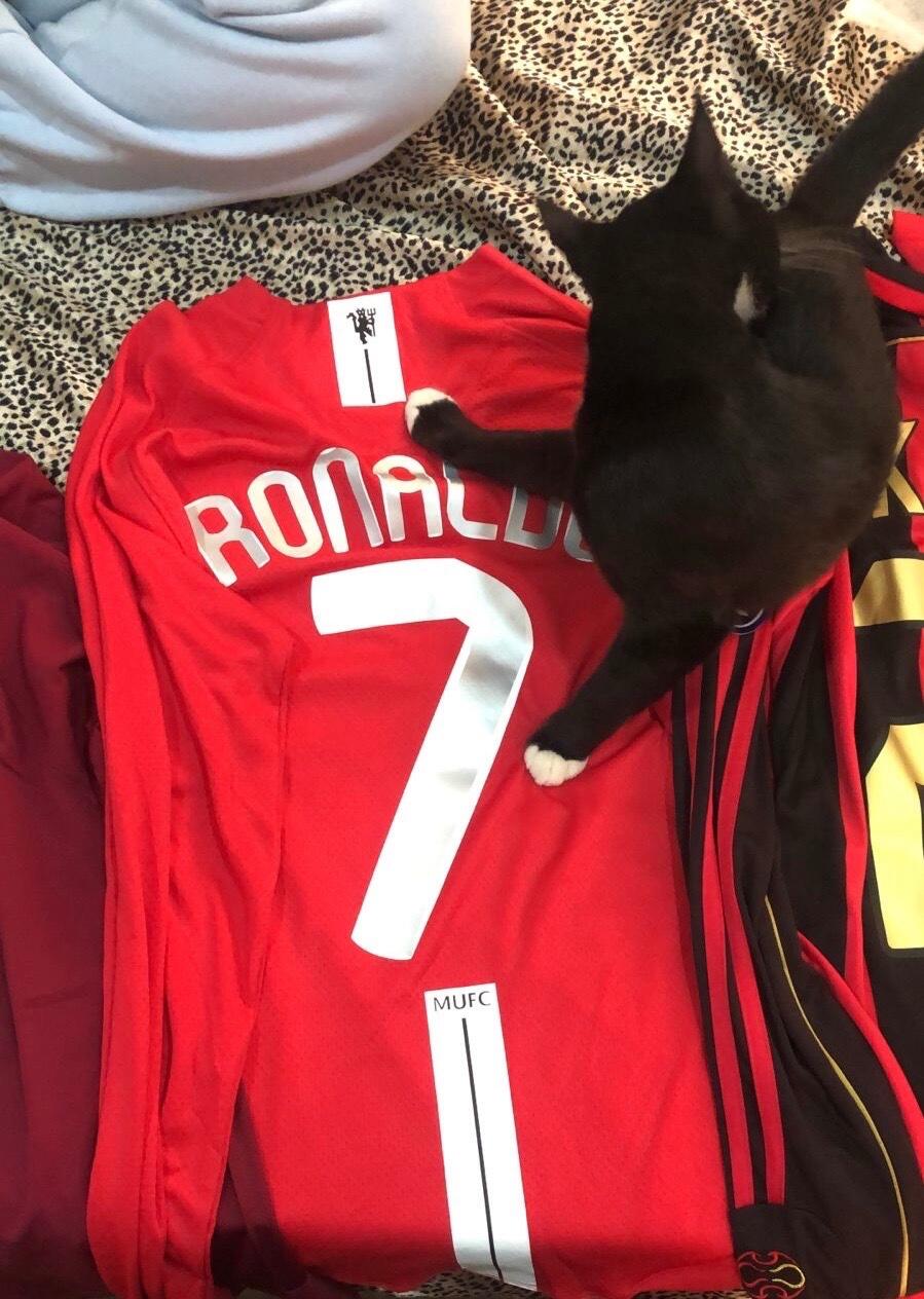 Reseña de Carmen Calvario 