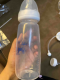 Hind review photo