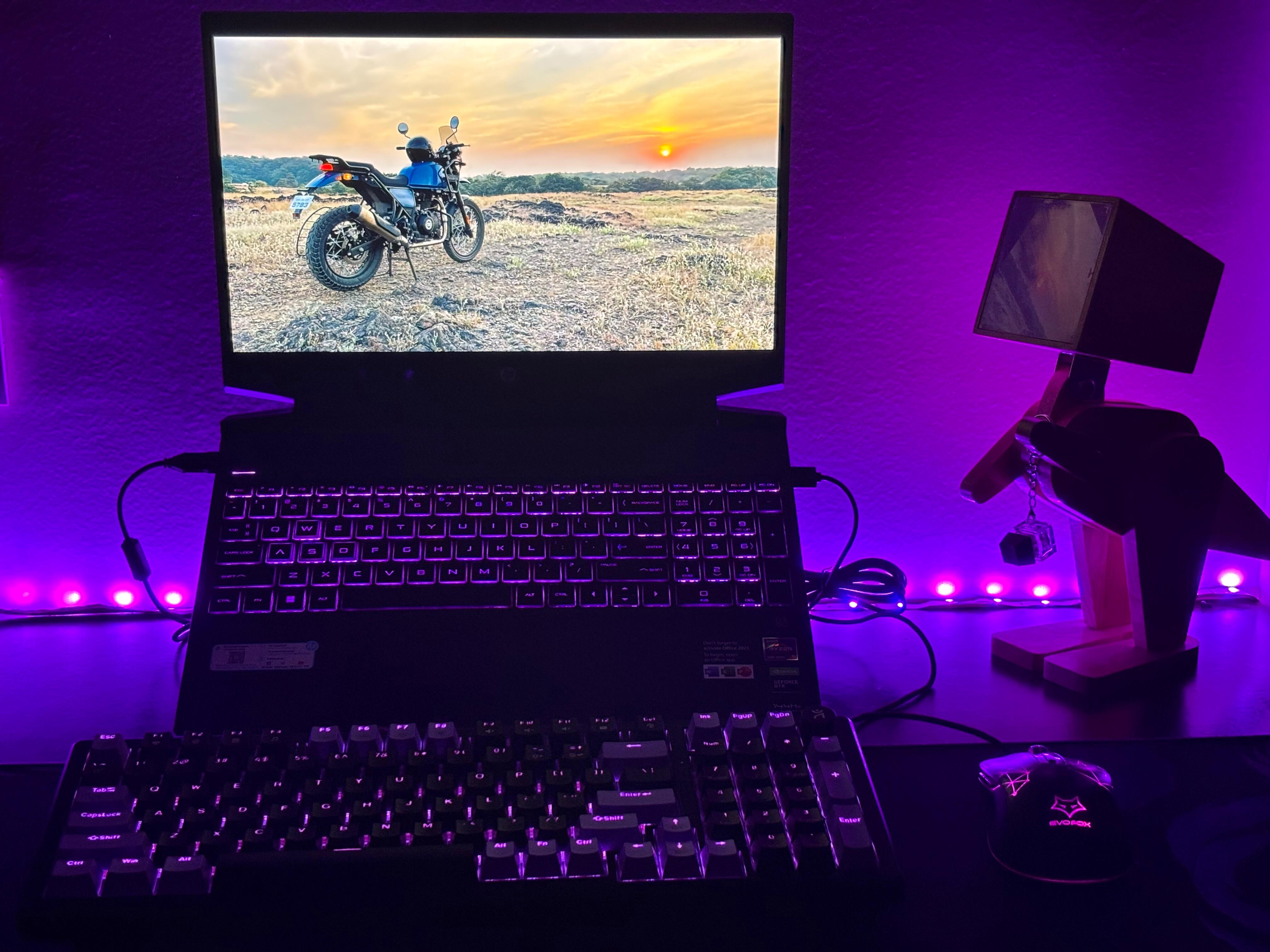 Customer review photo