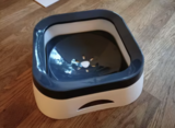 Noah R. review photo
