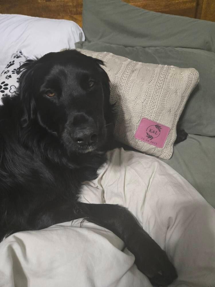 Customer blanket