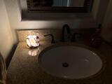 Amazon Customer review photo