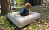 Keneth Kuhn review photo
