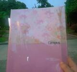Casey F. review photo
