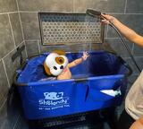 Olivia Scott review photo