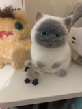 Laeticia review photo