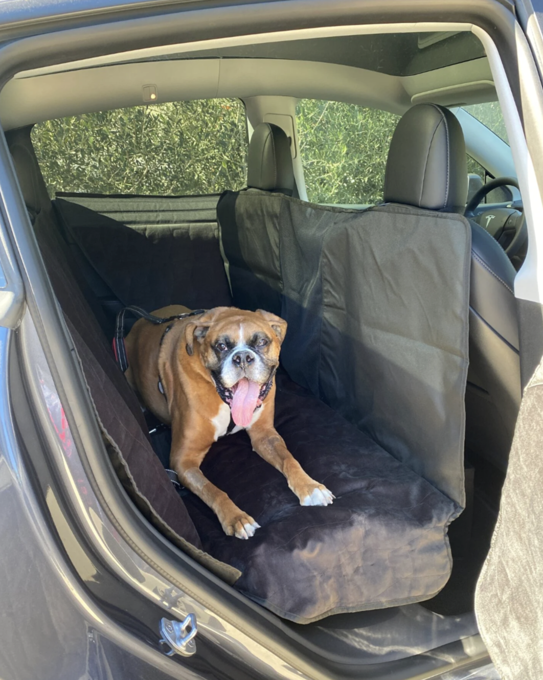Teslahubs™ Pawsafe Pet Liner Pad for Trunk, Model Y customer photo