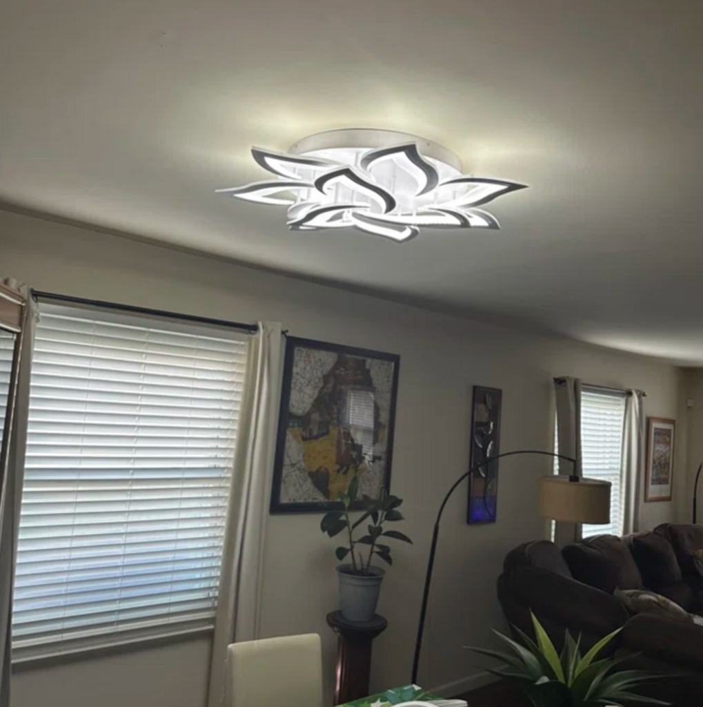 Customer photo