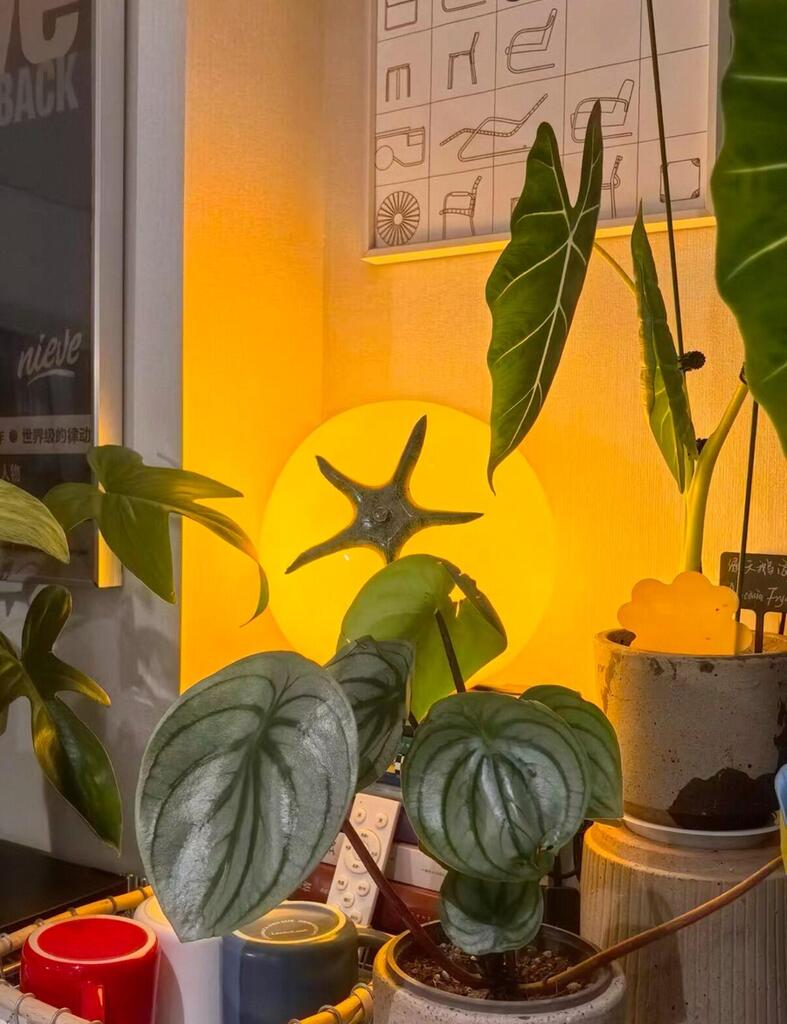 Red Tomato Table Lamp, customer photo