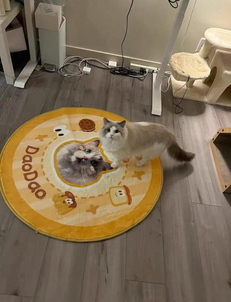 Custom Pet Rug From Photo, customer photo