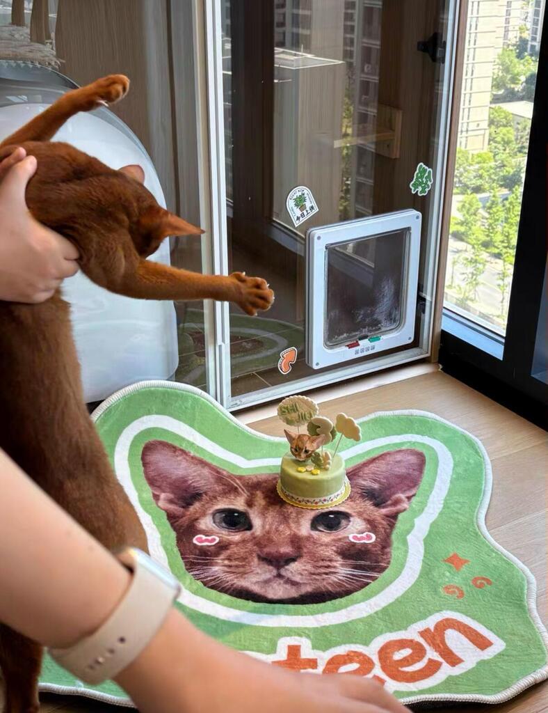 Custom Pet Rug From Photo, customer photo