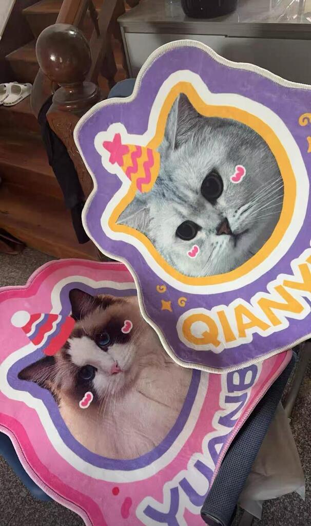 Custom Pet Rug From Photo, customer photo