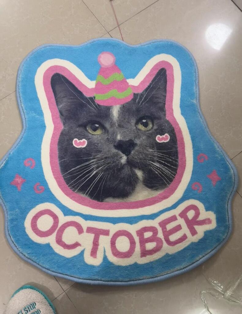 Custom Pet Rug From Photo, customer photo