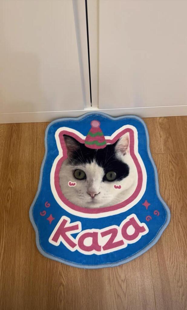 Custom Pet Rug From Photo, customer photo