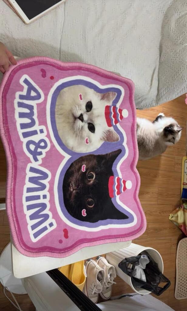 Custom Pet Rug From Photo, customer photo