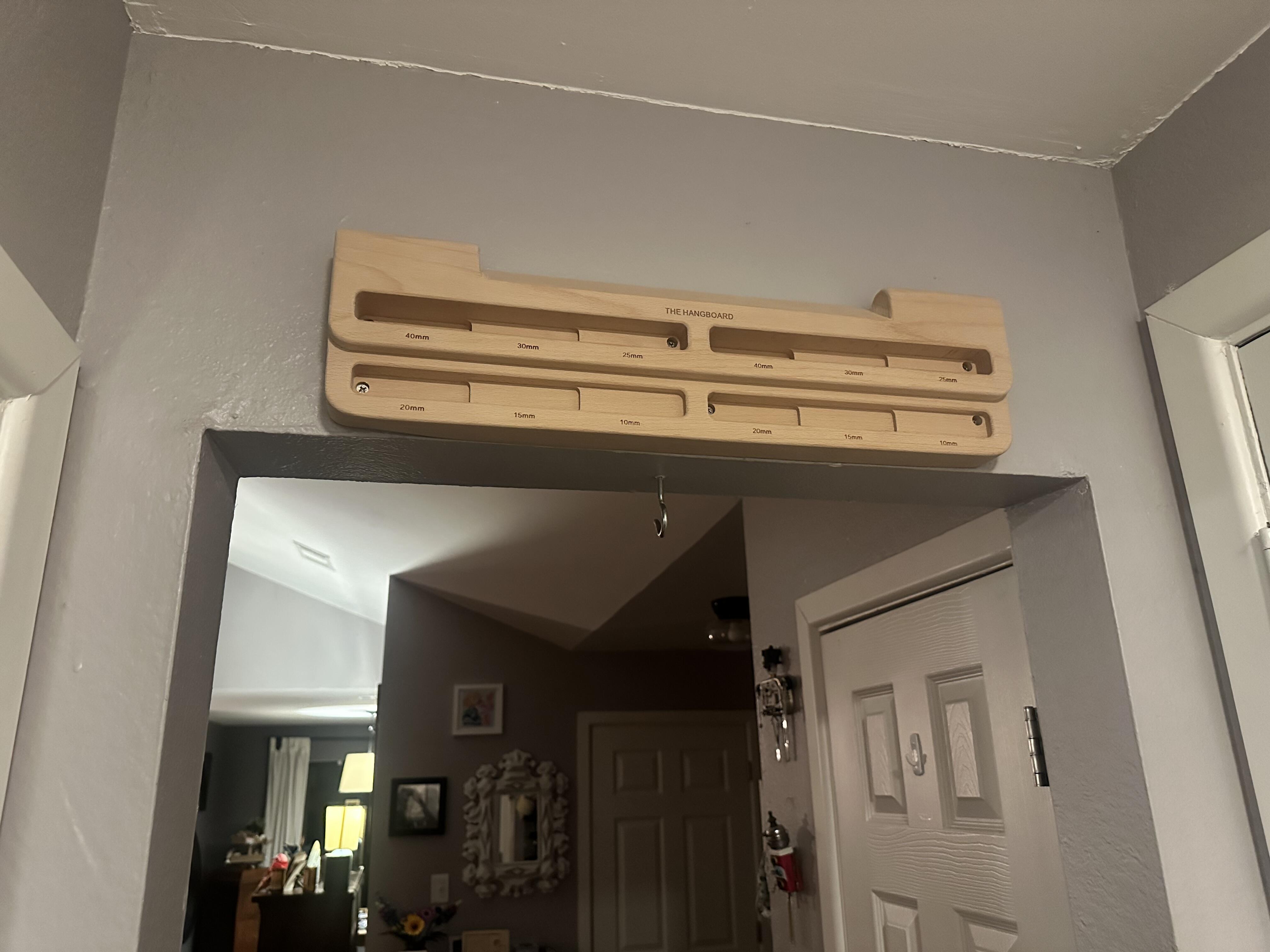 Customer photo of The Hangboard mounted on a wall