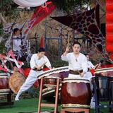 橋口忍 review photo