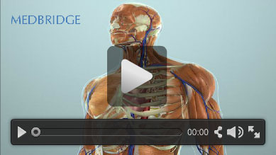 MedBridge Education Video