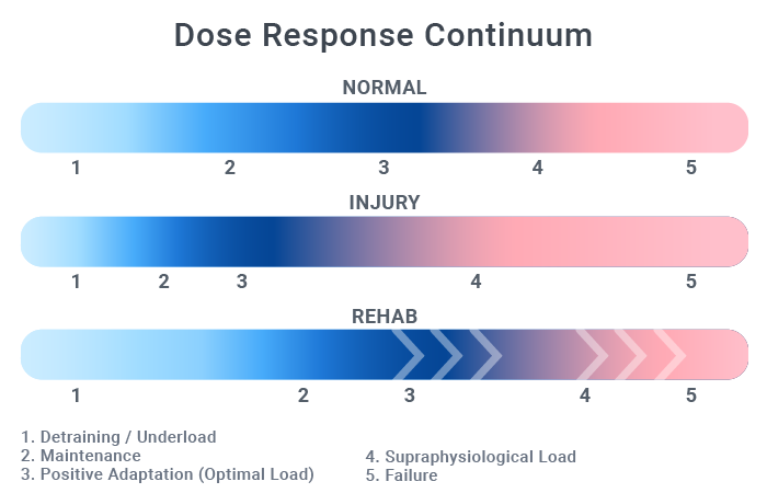 pdf network reliability