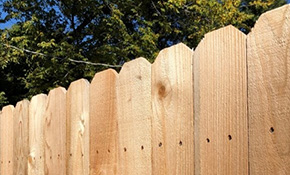 Ornamental Iron Fences Ace Fence Company