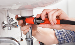 $195 for a Plumbing Inspection, Reserve Now for $19.50
