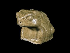 Making Matters – Vietnamese Toad