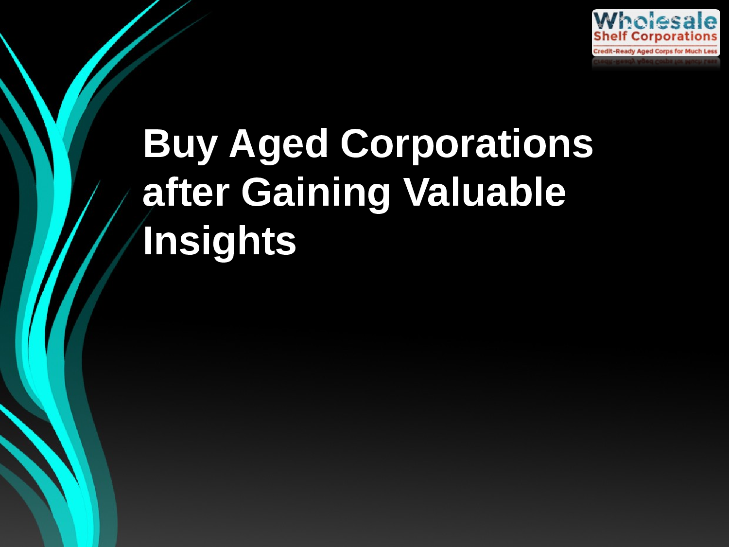 Buy Aged Corporations from Wholesale Shelf Corporations and Safeguard