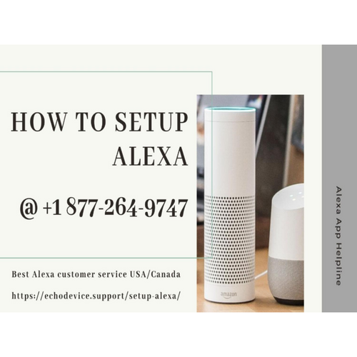 amazon echo slow to respond