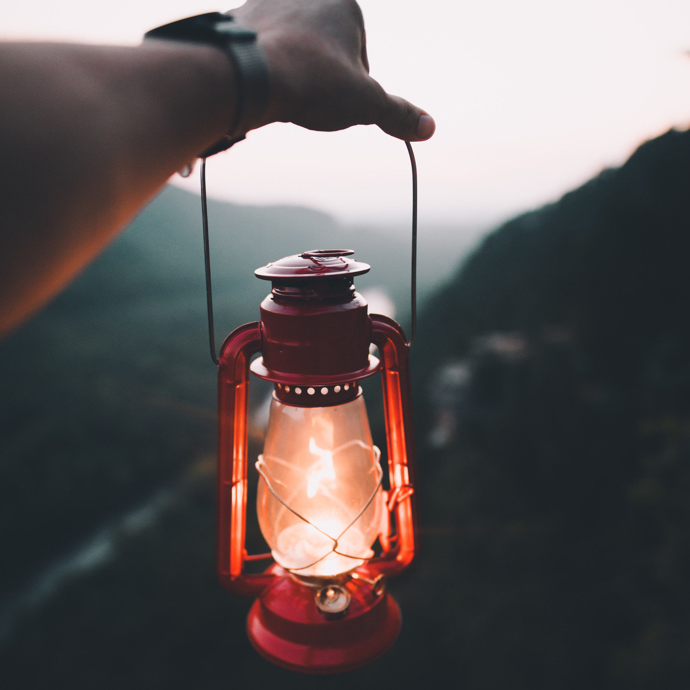 Photo by Blake Cheek on Unsplash