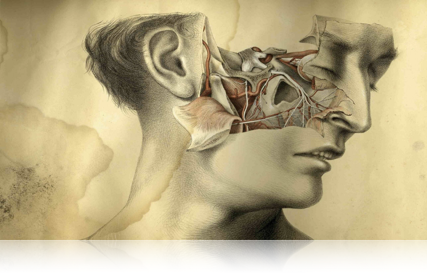 Short Cases in Surgery (Color Edition) by MRCS Dr R Rajamahendran MS