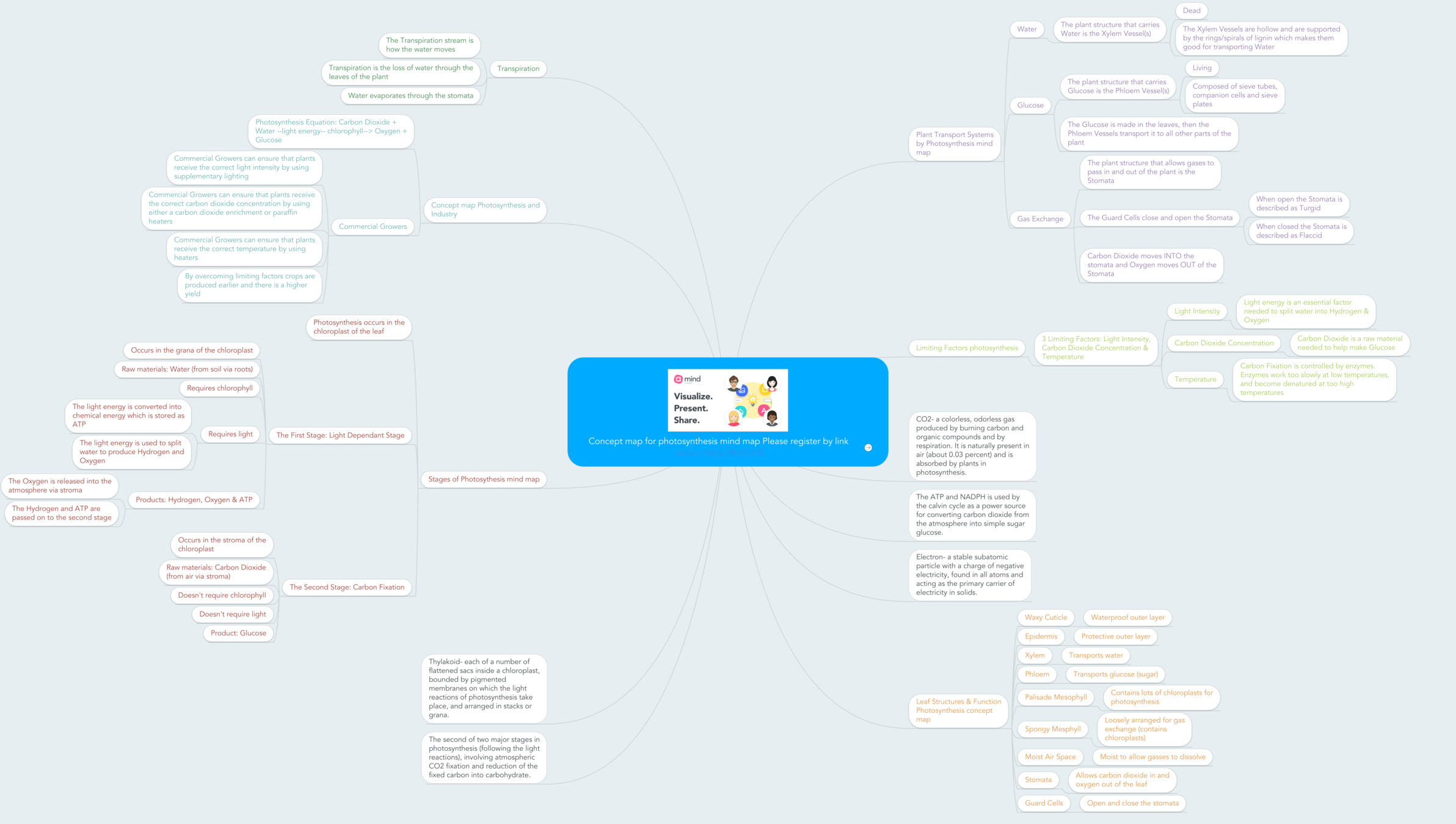 27 Concept Map For Photosynthesis - Map Online Source