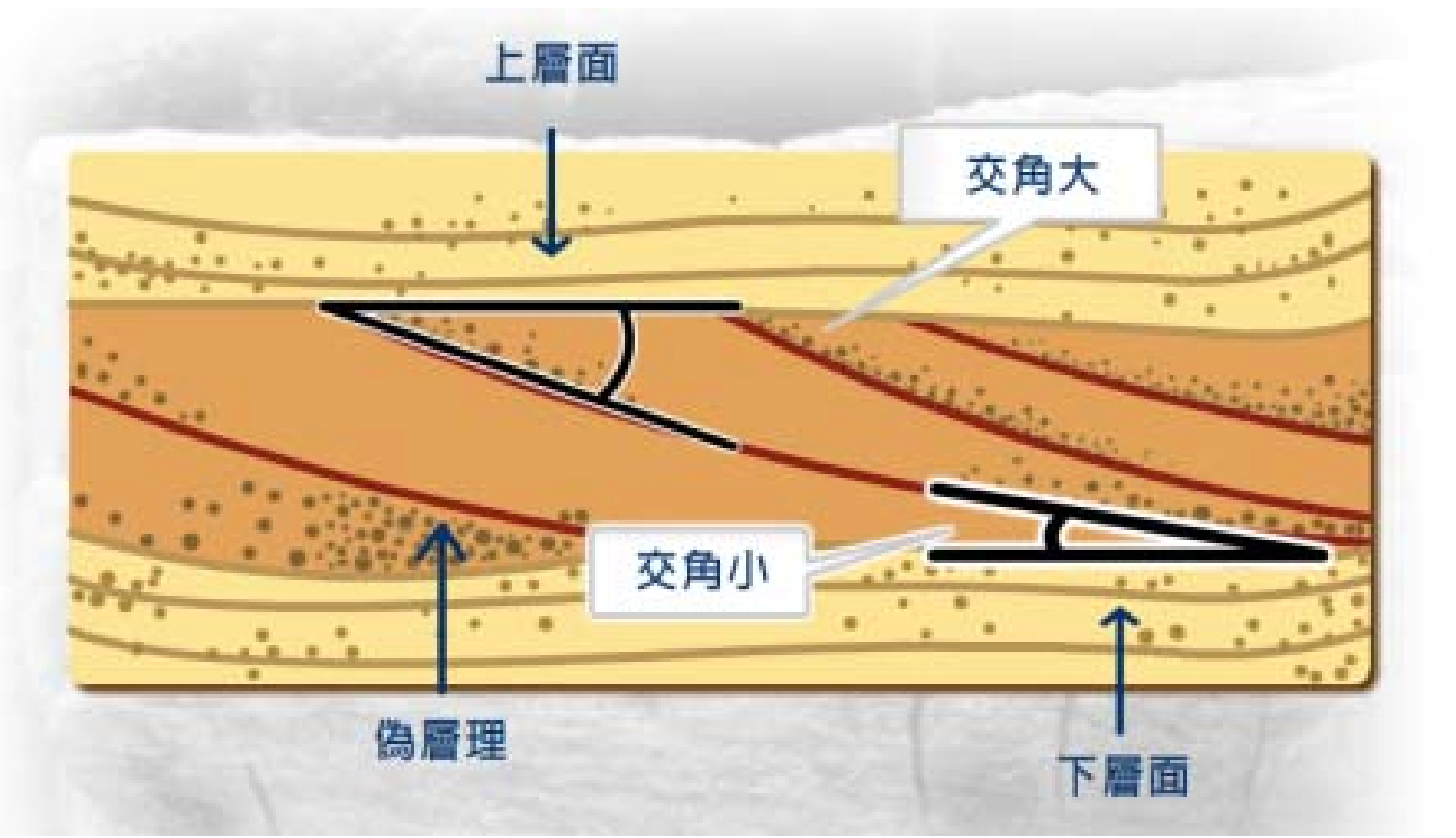 可能是地科校隊培訓