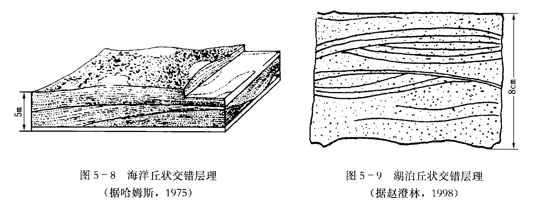 可能是地科校隊培訓