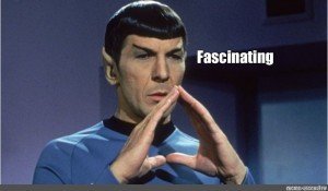 Spock from Starship Enterprise