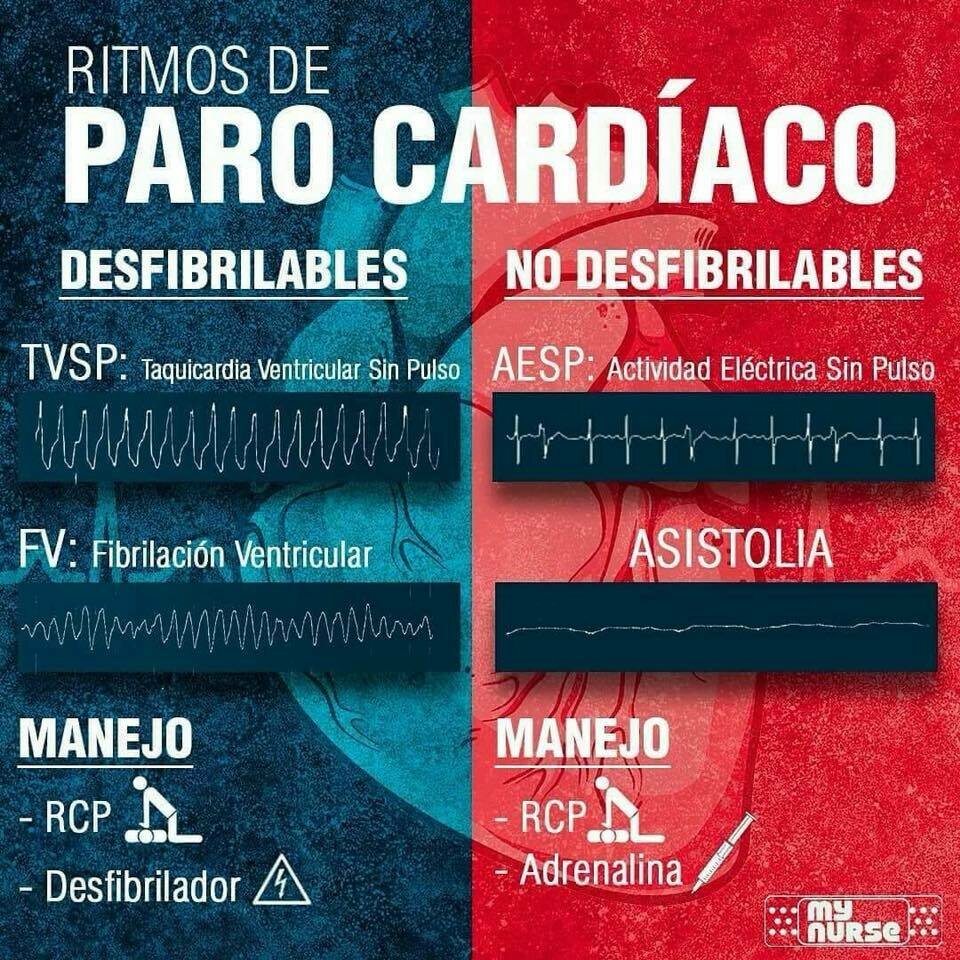 Imagen 13