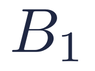 B1